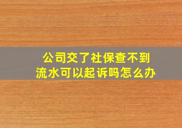 公司交了社保查不到流水可以起诉吗怎么办