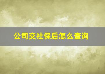 公司交社保后怎么查询