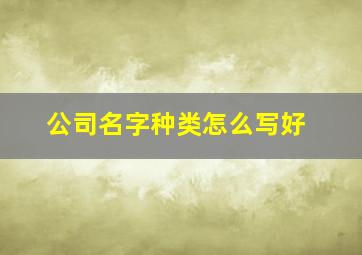 公司名字种类怎么写好