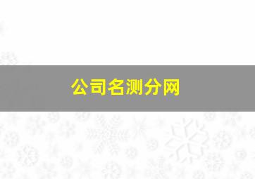 公司名测分网