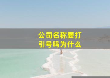 公司名称要打引号吗为什么