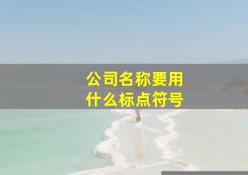 公司名称要用什么标点符号