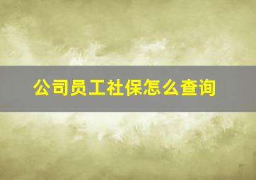 公司员工社保怎么查询