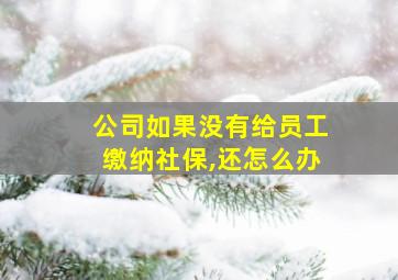 公司如果没有给员工缴纳社保,还怎么办