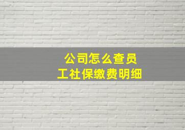 公司怎么查员工社保缴费明细