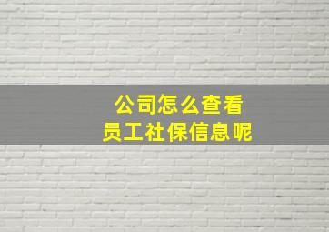 公司怎么查看员工社保信息呢