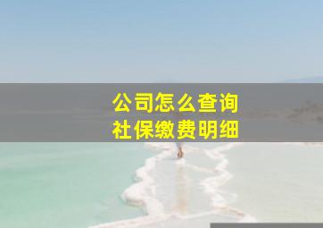 公司怎么查询社保缴费明细