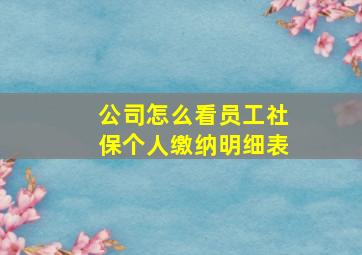 公司怎么看员工社保个人缴纳明细表