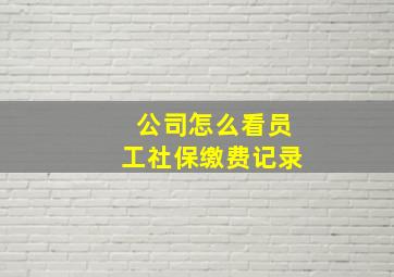 公司怎么看员工社保缴费记录