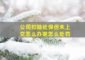 公司扣除社保但未上交怎么办呢怎么处罚