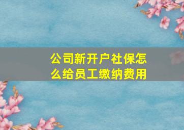 公司新开户社保怎么给员工缴纳费用