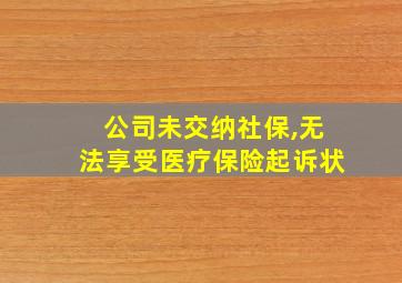 公司未交纳社保,无法享受医疗保险起诉状