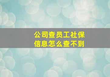 公司查员工社保信息怎么查不到