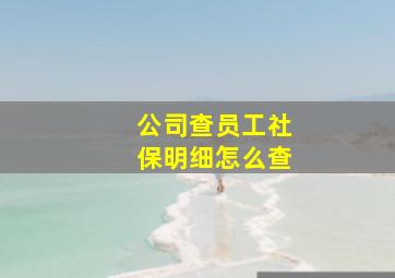 公司查员工社保明细怎么查