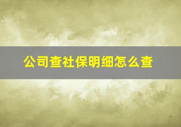 公司查社保明细怎么查