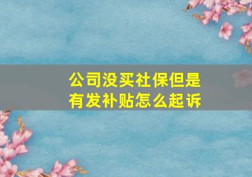 公司没买社保但是有发补贴怎么起诉