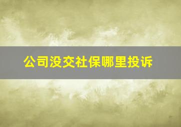 公司没交社保哪里投诉