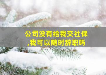 公司没有给我交社保,我可以随时辞职吗