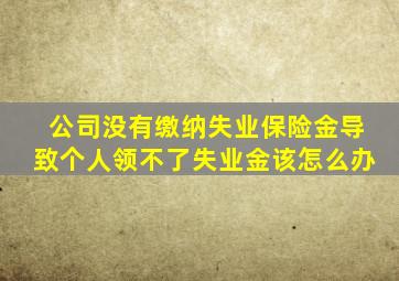 公司没有缴纳失业保险金导致个人领不了失业金该怎么办