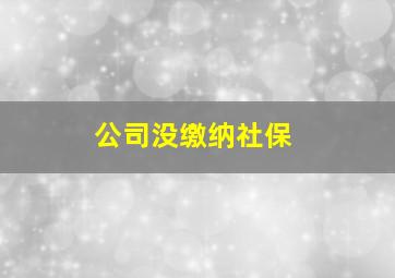 公司没缴纳社保