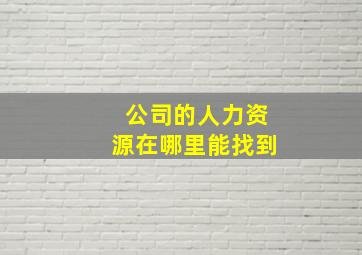 公司的人力资源在哪里能找到