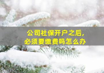 公司社保开户之后,必须要缴费吗怎么办