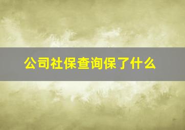 公司社保查询保了什么