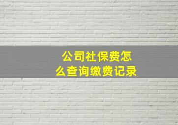 公司社保费怎么查询缴费记录