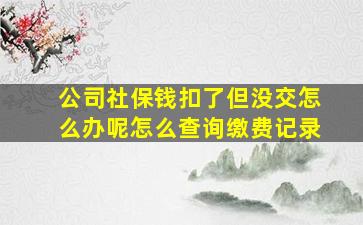 公司社保钱扣了但没交怎么办呢怎么查询缴费记录