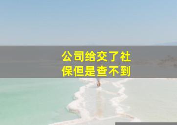 公司给交了社保但是查不到