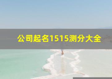 公司起名1515测分大全