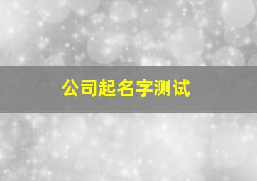 公司起名字测试