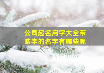 公司起名用字大全带皓字的名字有哪些呢