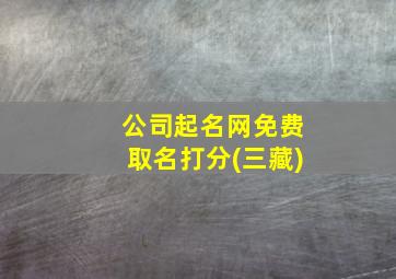 公司起名网免费取名打分(三藏)