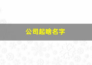 公司起啥名字