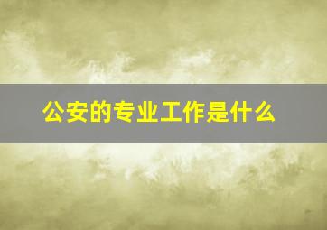 公安的专业工作是什么