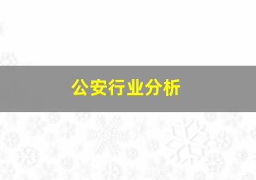 公安行业分析