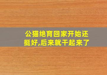 公猫绝育回家开始还挺好,后来就干起来了