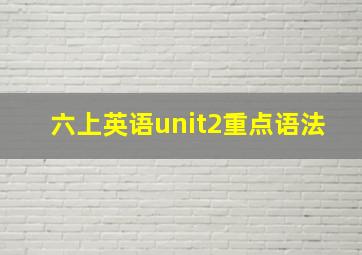 六上英语unit2重点语法