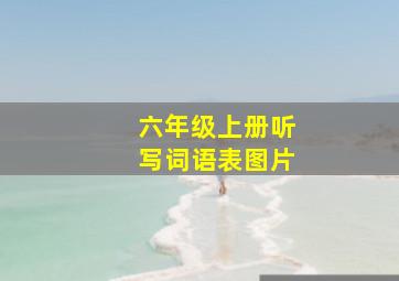 六年级上册听写词语表图片