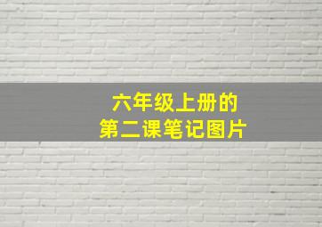 六年级上册的第二课笔记图片