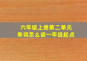 六年级上册第二单元单词怎么读一年级起点