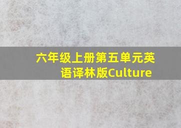 六年级上册第五单元英语译林版Culture