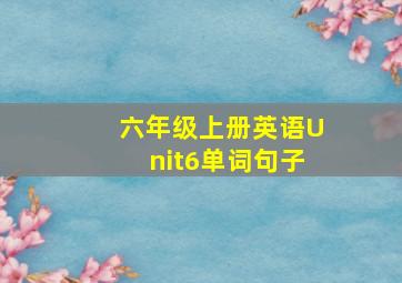 六年级上册英语Unit6单词句子