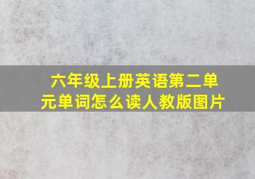 六年级上册英语第二单元单词怎么读人教版图片