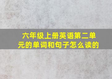 六年级上册英语第二单元的单词和句子怎么读的