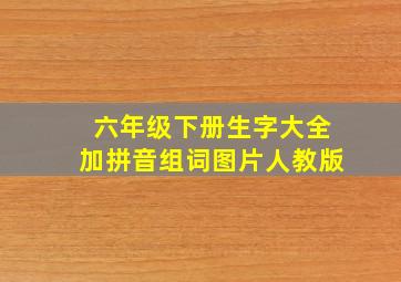 六年级下册生字大全加拼音组词图片人教版