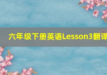 六年级下册英语Lesson3翻译