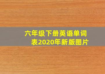 六年级下册英语单词表2020年新版图片