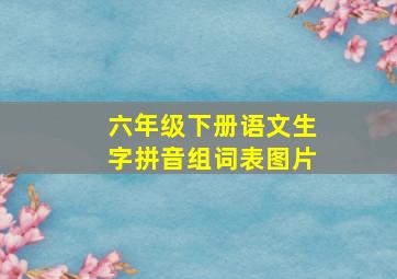 六年级下册语文生字拼音组词表图片